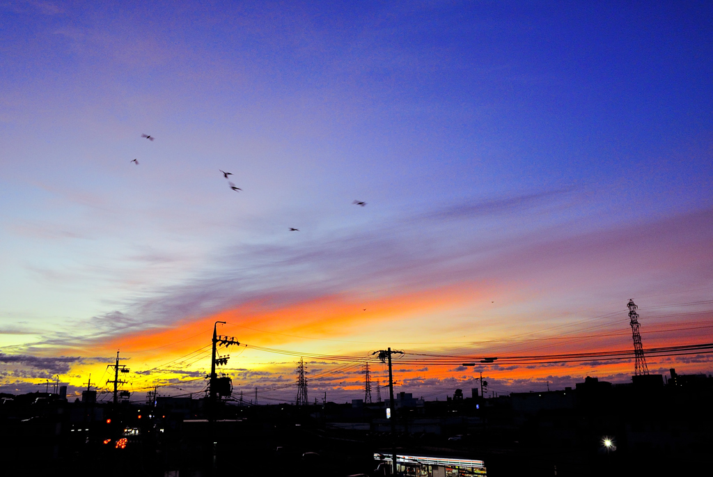 本日の朝焼け！　11/8