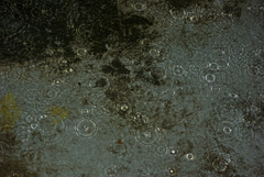 雨粒　6/11