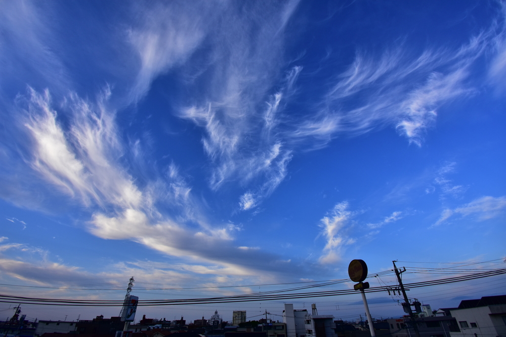 今朝の光景　南