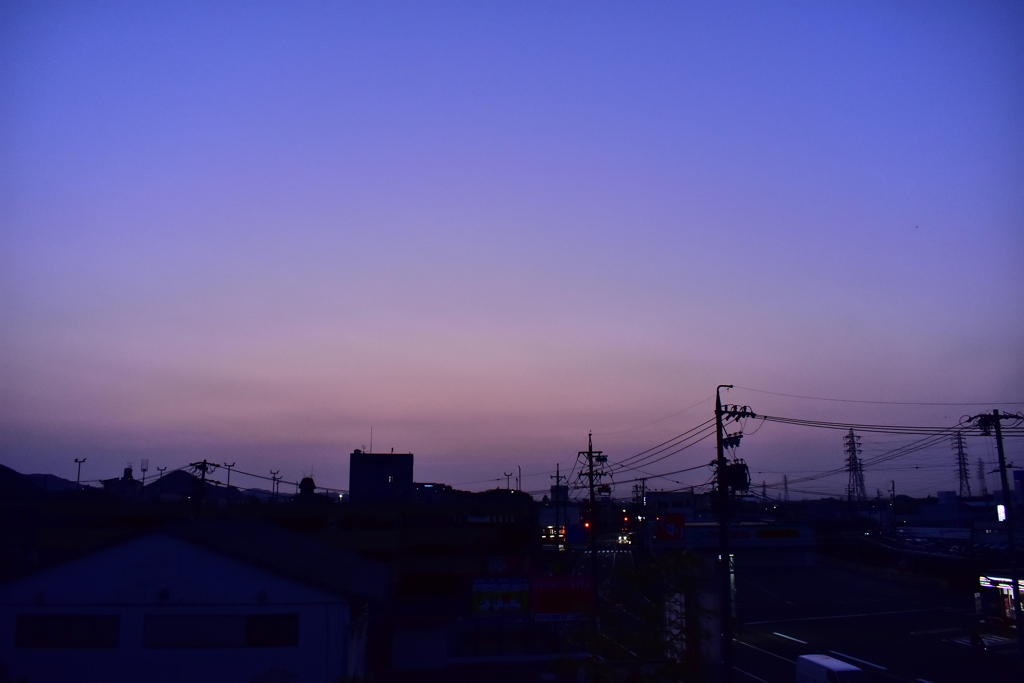 ぼんやりの朝！