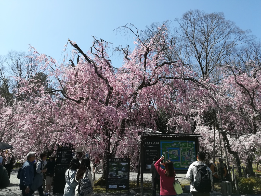 180329_18