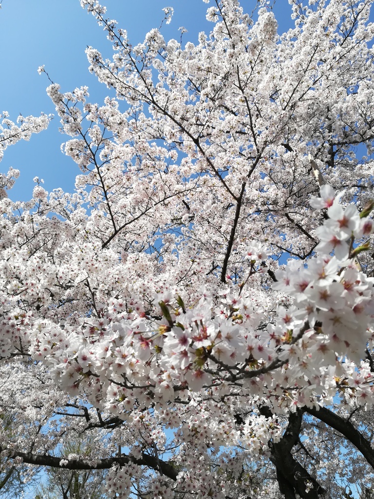 180329_15