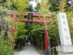 DSC02151