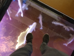atoa_14