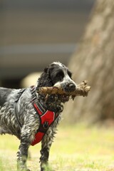 IMG_6130