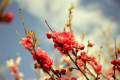 IMG_5866