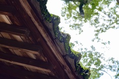 神社雨