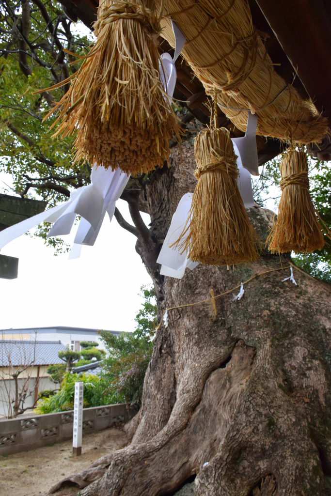 神社