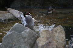 到津の森公園15