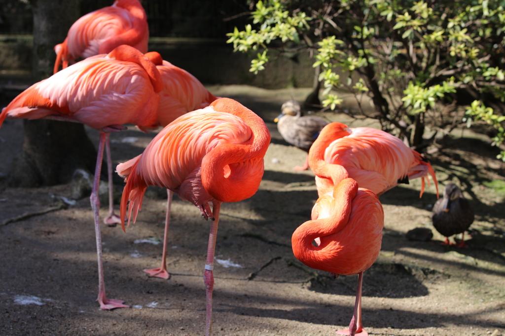 到津の森公園08