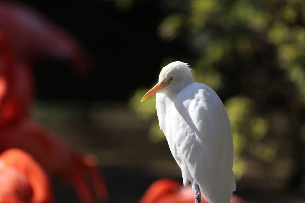 到津の森公園09