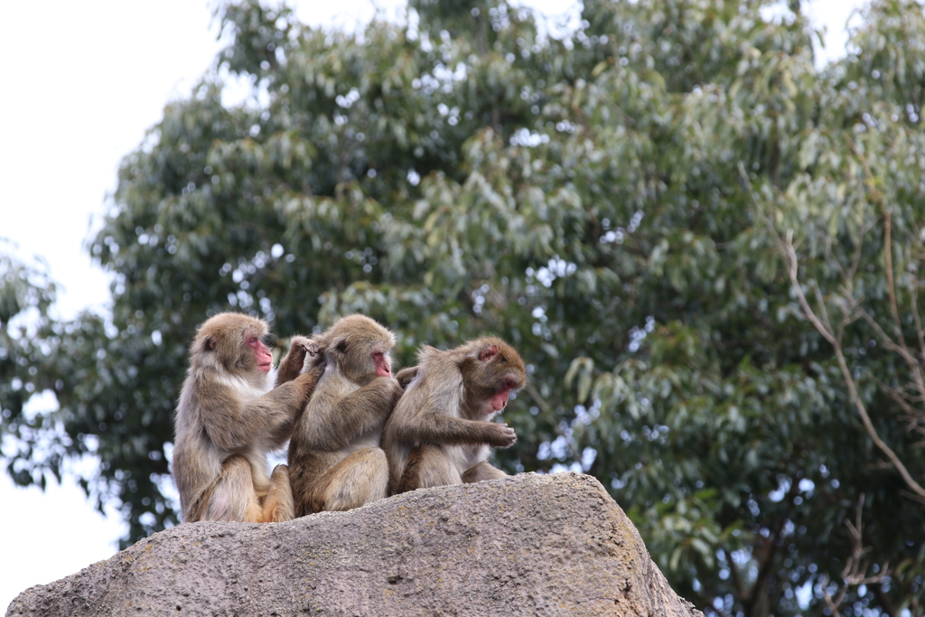 到津の森公園02