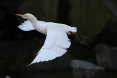 到津の森公園19