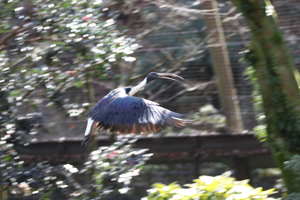 到津の森公園10