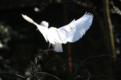 到津の森公園20