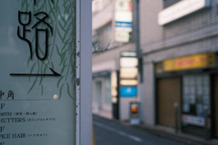 柳小路