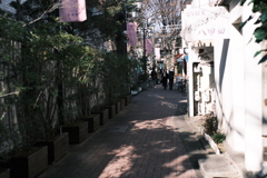大井町線 正月