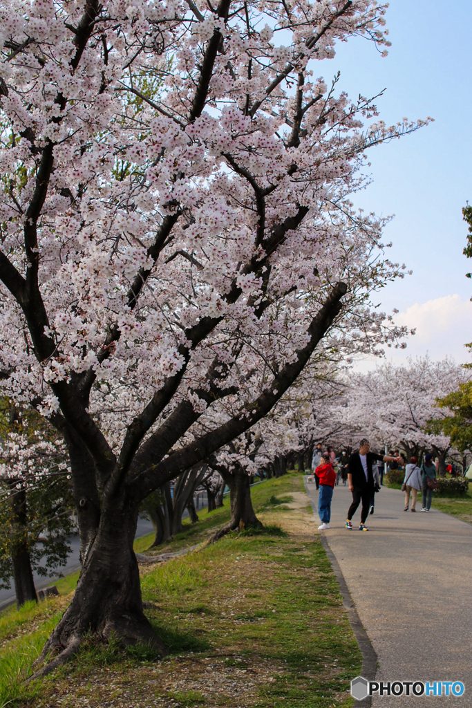 落合公園