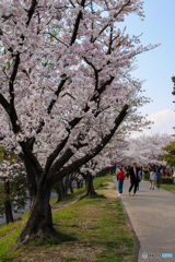 落合公園