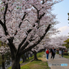 落合公園