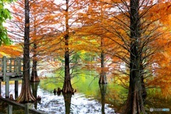 紅葉