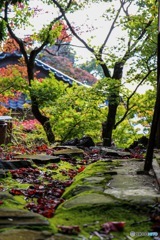 定光寺付近