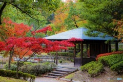春日井緑化植物園