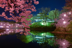 高田公園夜桜と高田城三重櫓