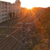 夕日に染まる線路