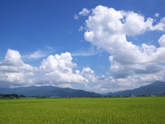 夏空