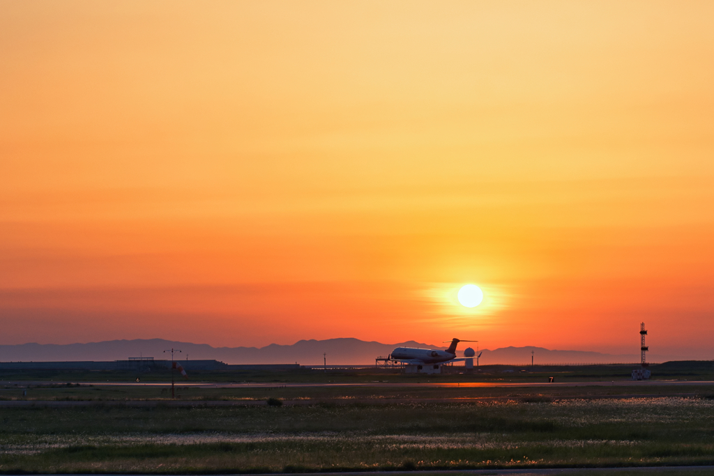 Airplane landing in the sunset
