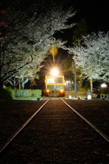 独り占めしたかぼちゃ電車