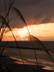 秋の夕日