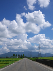 Country Road in Summer 