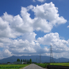 Country Road in Summer 