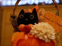 trick or treat