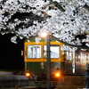 旧新潟交通月潟駅　かぼちゃ電車と桜ライトアップ