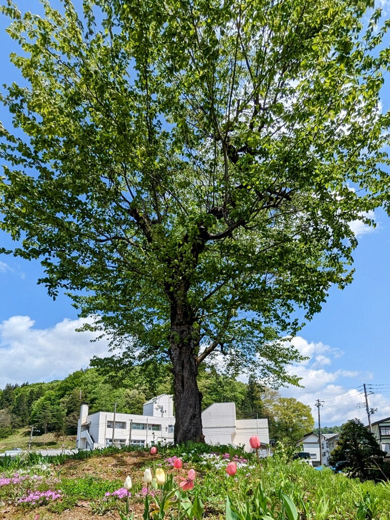 あと少しで５連休。がんばりましょう。