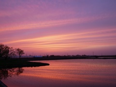 田んぼの夕景