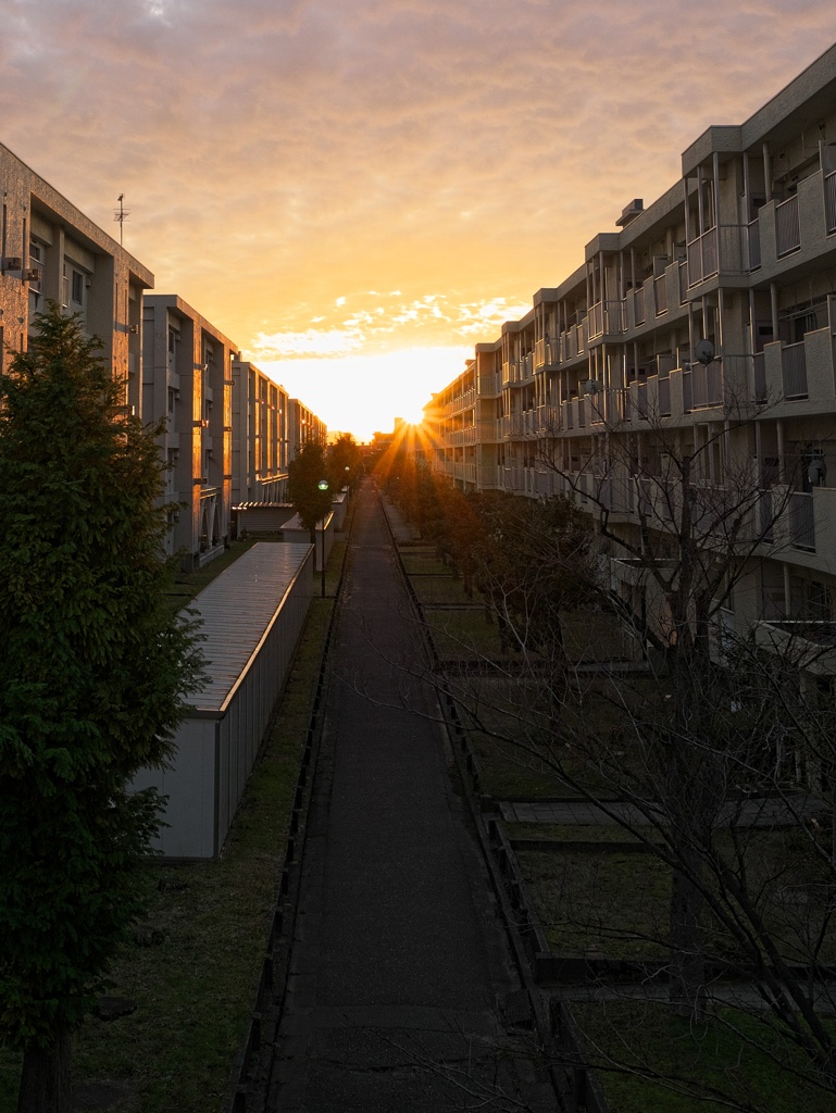 団地を染める夕日