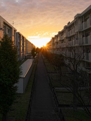 団地を染める夕日