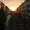 団地を染める夕日