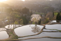 夕刻の儀明の棚田