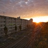 夕焼け