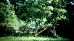 ファインダー越しの見慣れた公園