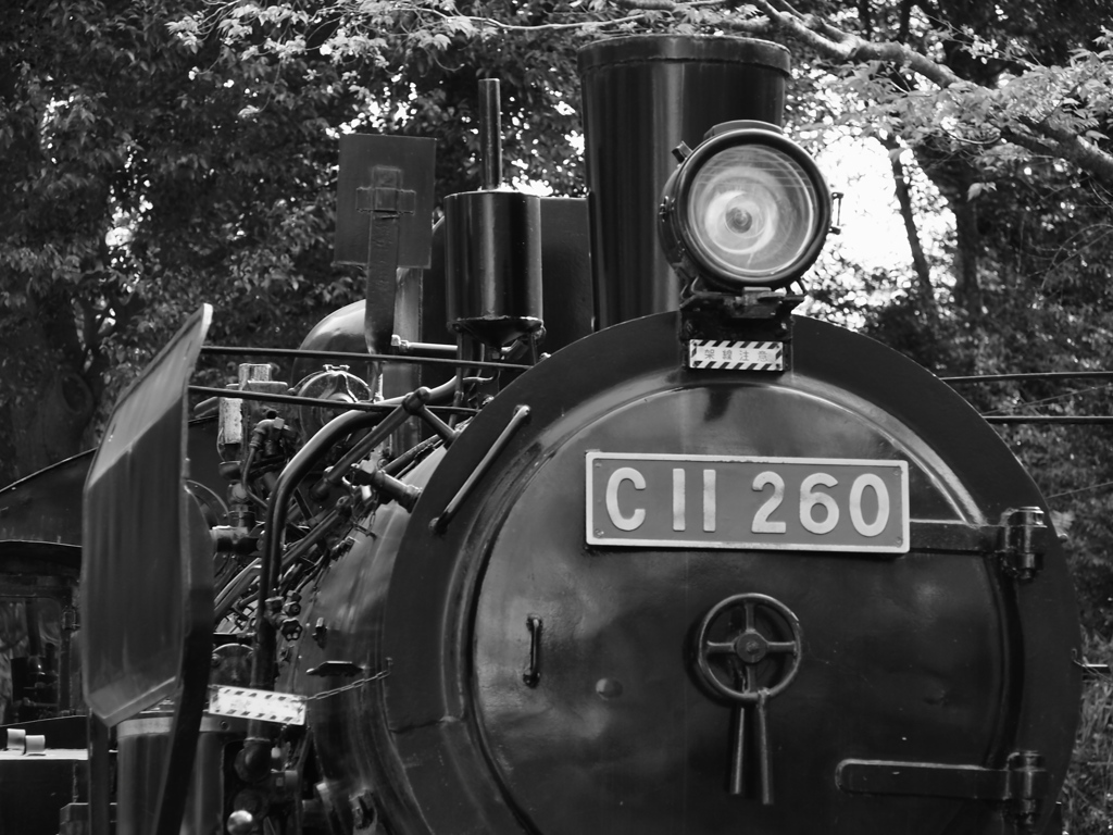 Steel locomotive C11 