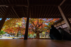  雷山千如寺大悲王院
