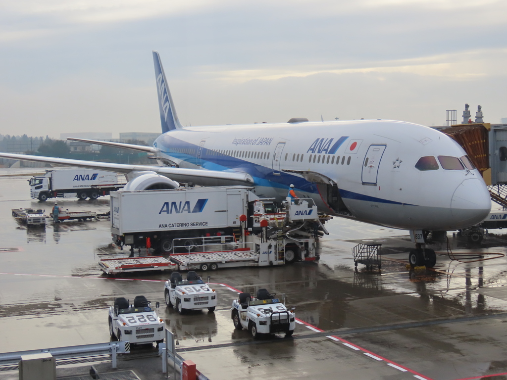 旅の一コマ　雨上がりの成田空港
