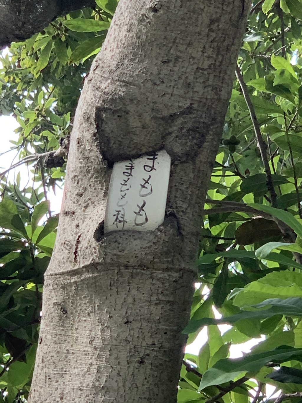 飲み込まれて…