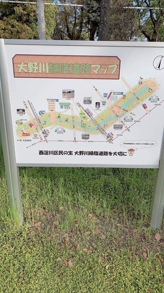桜散って新緑